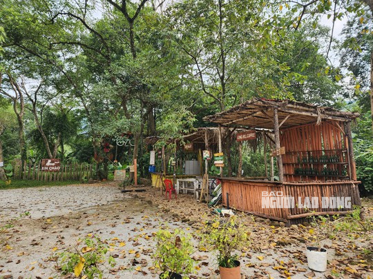 Vụ lấn chiếm hơn 3,6 ha rừng ở Phong Nha - Kẻ Bàng: Doanh nghiệp bất ngờ làm đơn khiếu nại - Ảnh 1.