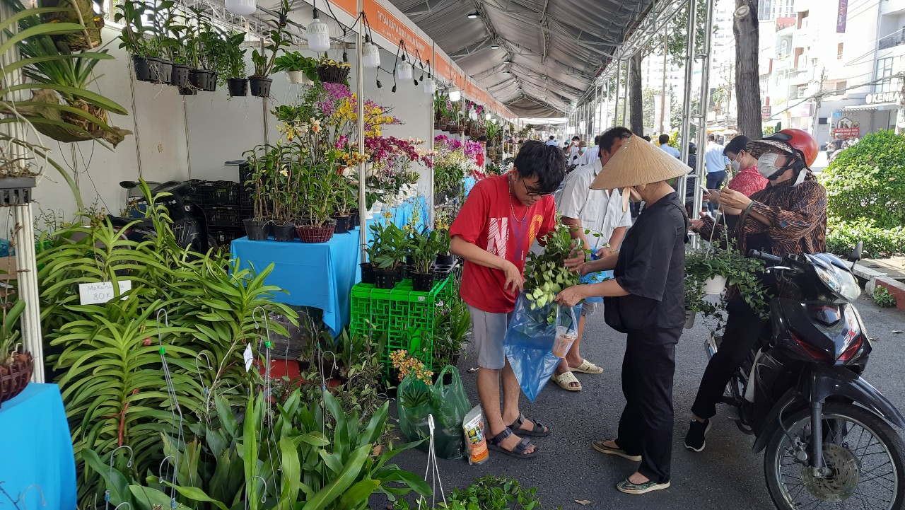 Khai mạc tuần lễ sinh vật cảnh TP HCM