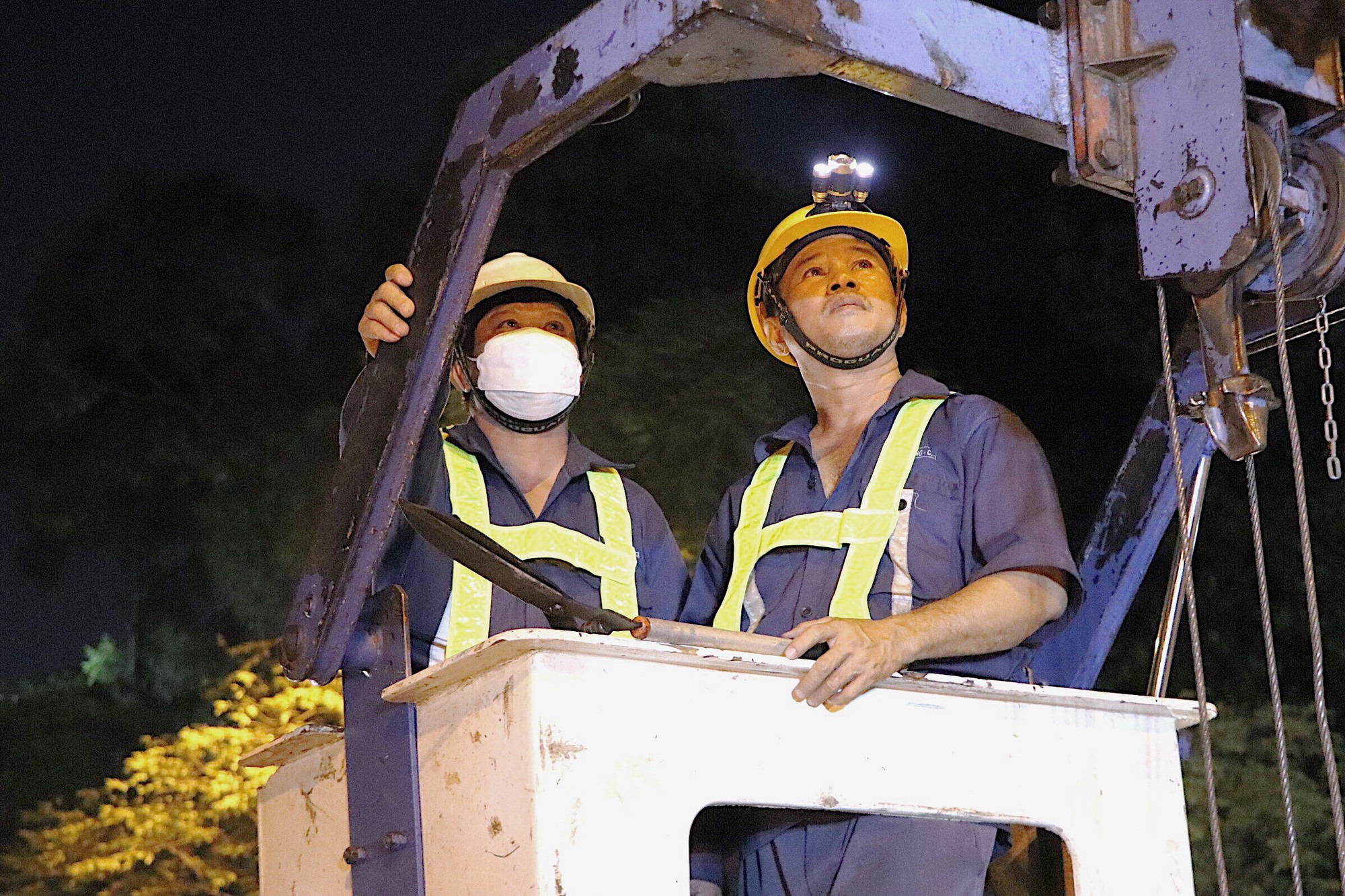 Hình ảnh xuyên đêm cắt nhánh cây ở TP HCM