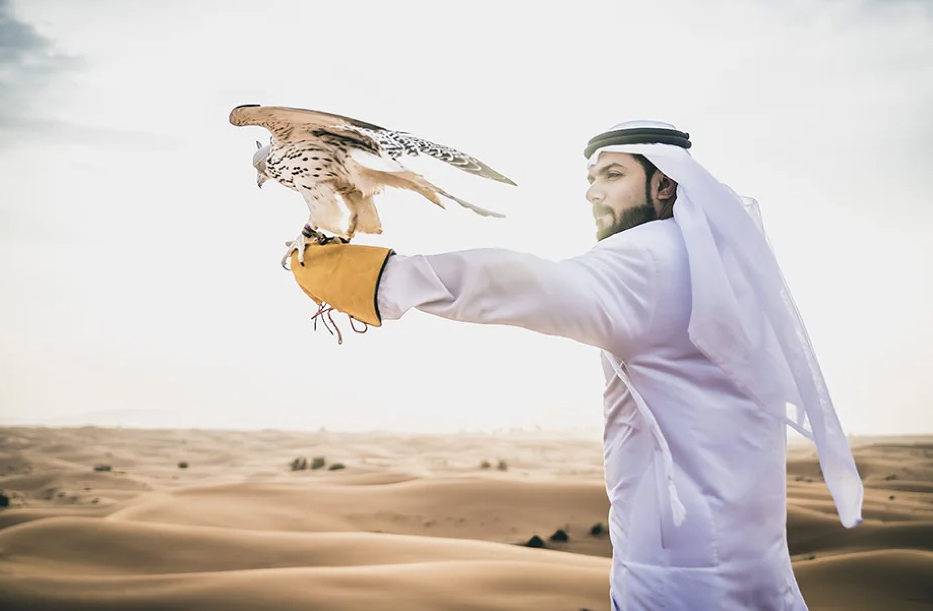 Chim &ldquo;qu&yacute; tộc&rdquo; ở Qatar dự đo&aacute;n kết quả trận khai mạc World Cup 2022 - Ảnh 3.