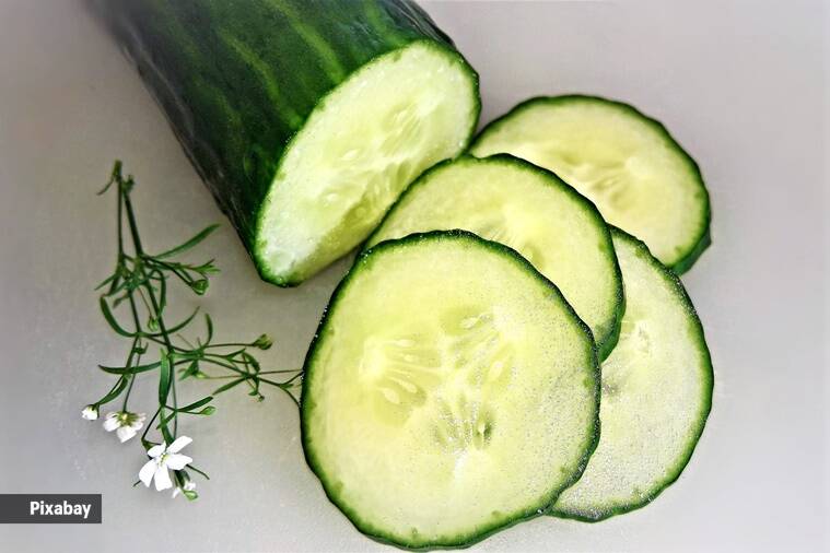 Ăn đi đừng lo, những thực phẩm nạp nhiều cũng kh&ocirc;ng sao - Ảnh 2.