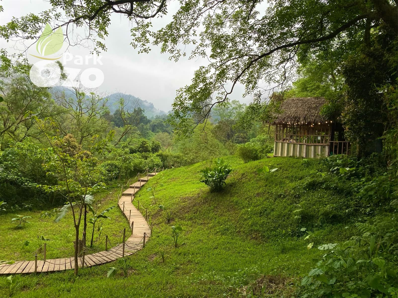 Chiếm đất, x&acirc;y khu du lịch lậu giữa l&ograve;ng di sản Phong Nha - Kẻ B&agrave;ng - Ảnh 2.