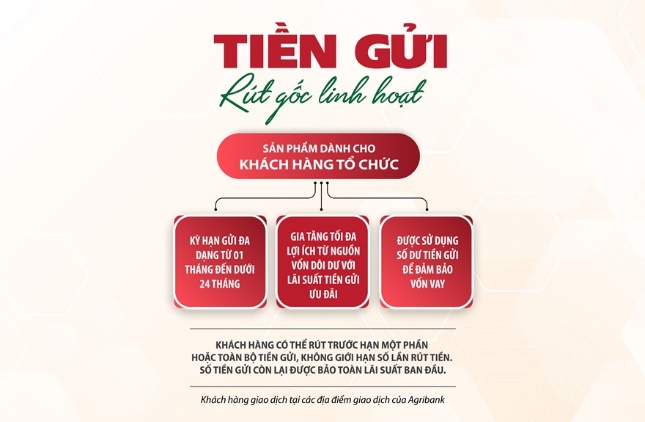Tiền gửi r&uacute;t gốc linh hoạt Agribank &ndash; Gia tăng lợi &iacute;ch cho tổ chức - Ảnh 1.