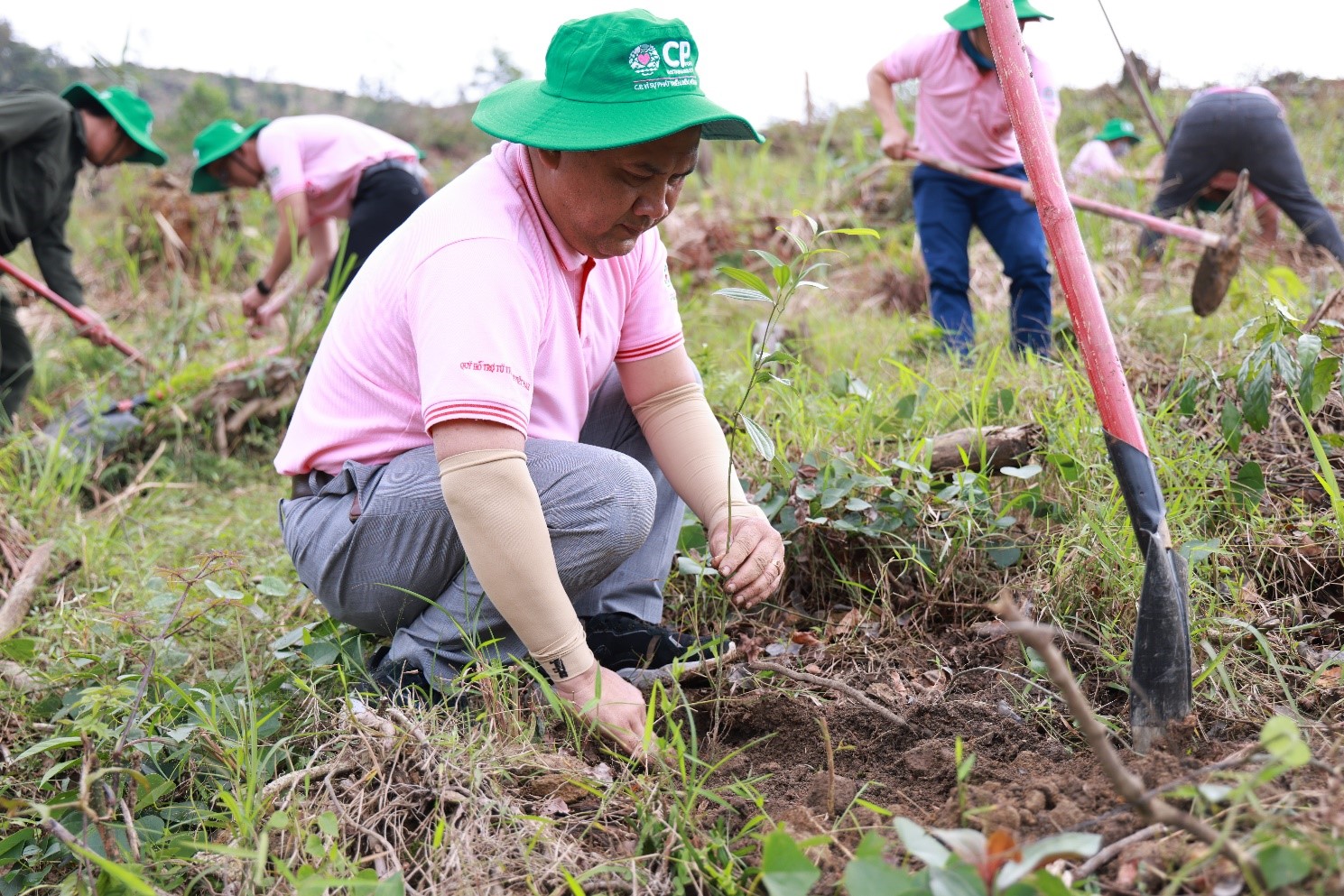 C.P. Việt Nam thực hiện &ldquo;H&agrave;nh tr&igrave;nh v&igrave; một Việt Nam xanh&rdquo; tại Thừa Thi&ecirc;n - Huế - Ảnh 3.