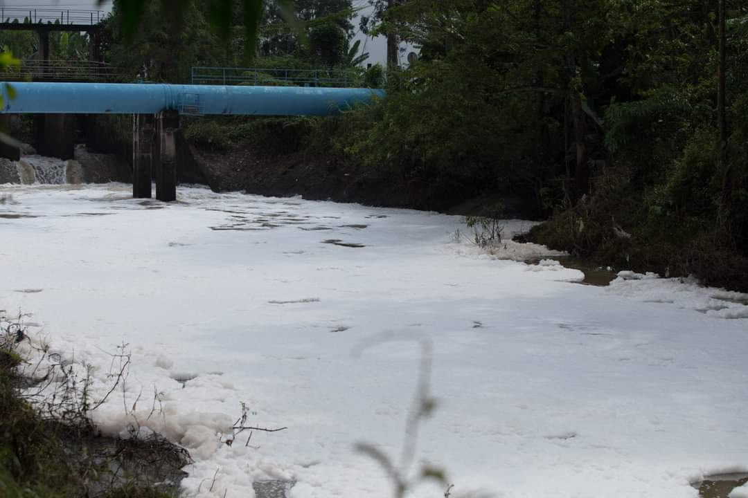 Bà Rịa - Vũng Tàu chỉ đạo xử lý vụ nước sông Dinh nổi bọt trắng, bốc mùi thối - Ảnh 2.