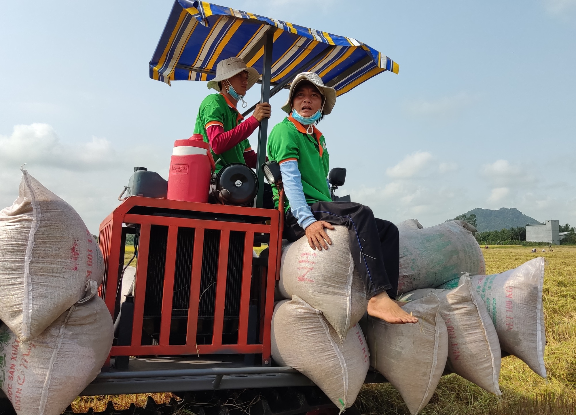 Băn khoăn quản lý nhập khẩu gạo