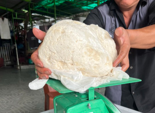 Ngư dân vớt được vật lạ nghi là long diên hương quý hiếm
