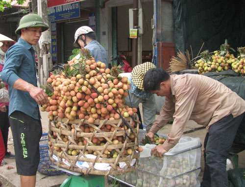 Trái cây Việt ngày càng vươn xa
