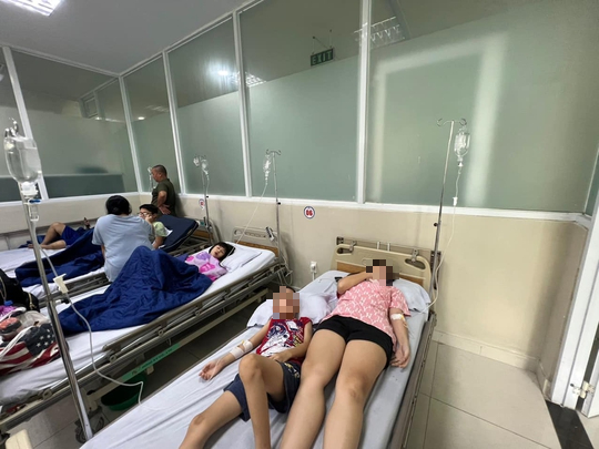 Gần 650 học sinh Trường iSchool Nha Trang ngộ độc: Do vi khuẩn Salmonella - Ảnh 1.