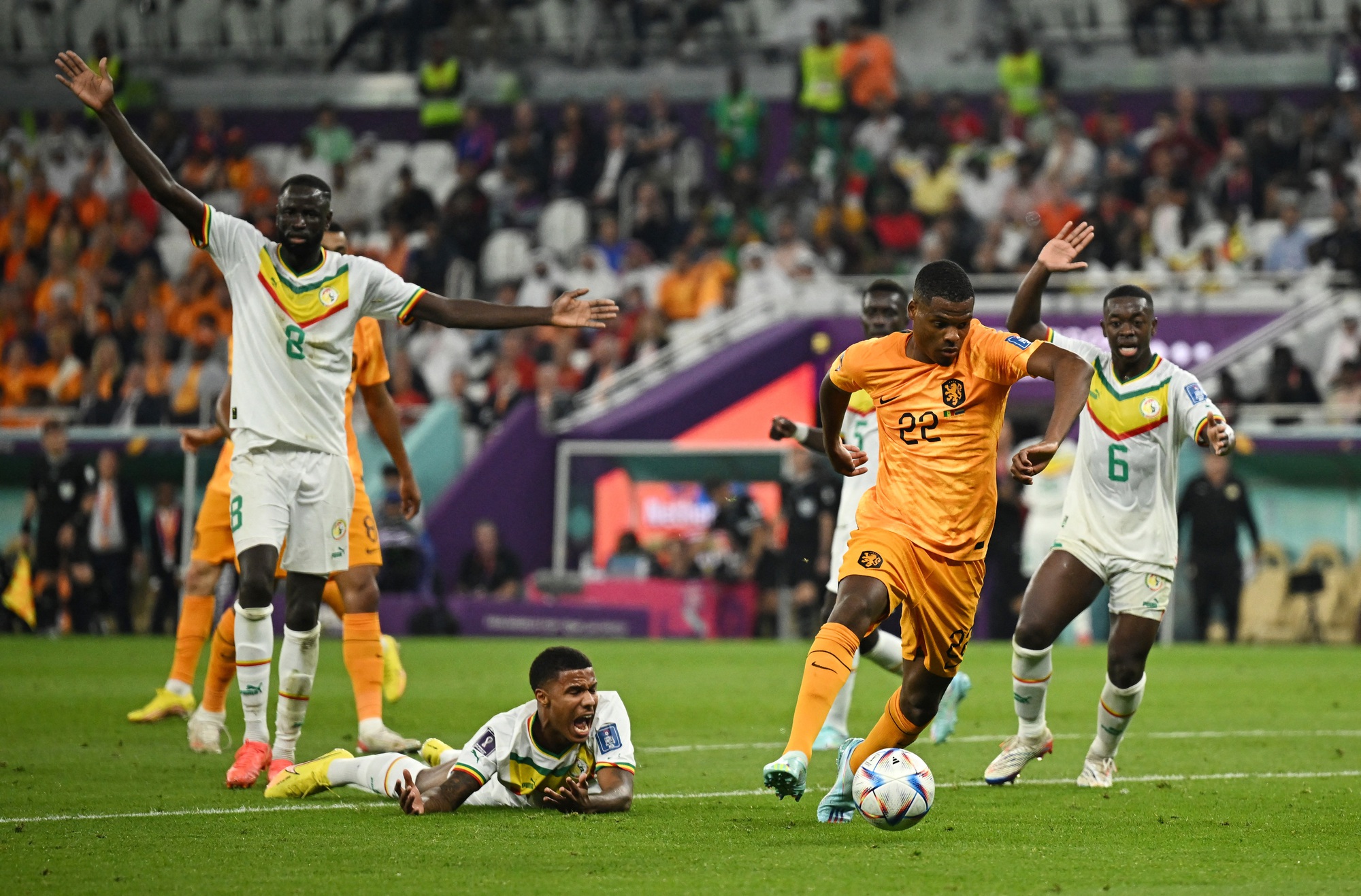 Lốc da cam Hà Lan bắt đầu tạo gió ở World Cup 2022 - Ảnh 3.