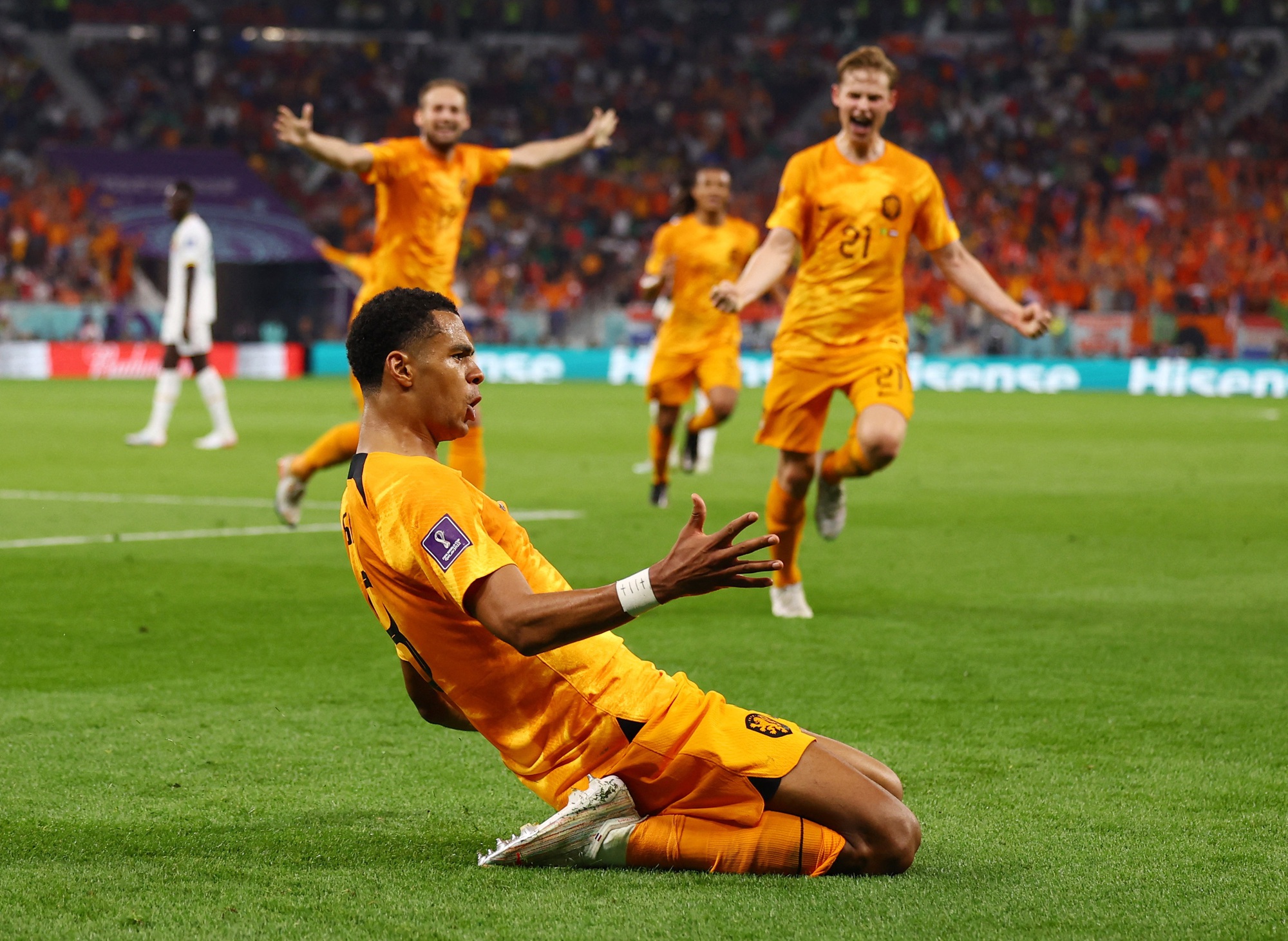 Kết quả Dự đoán World Cup 2022 ngày 21-11: Sân cỏ Qatar nóng rực - Ảnh 2.