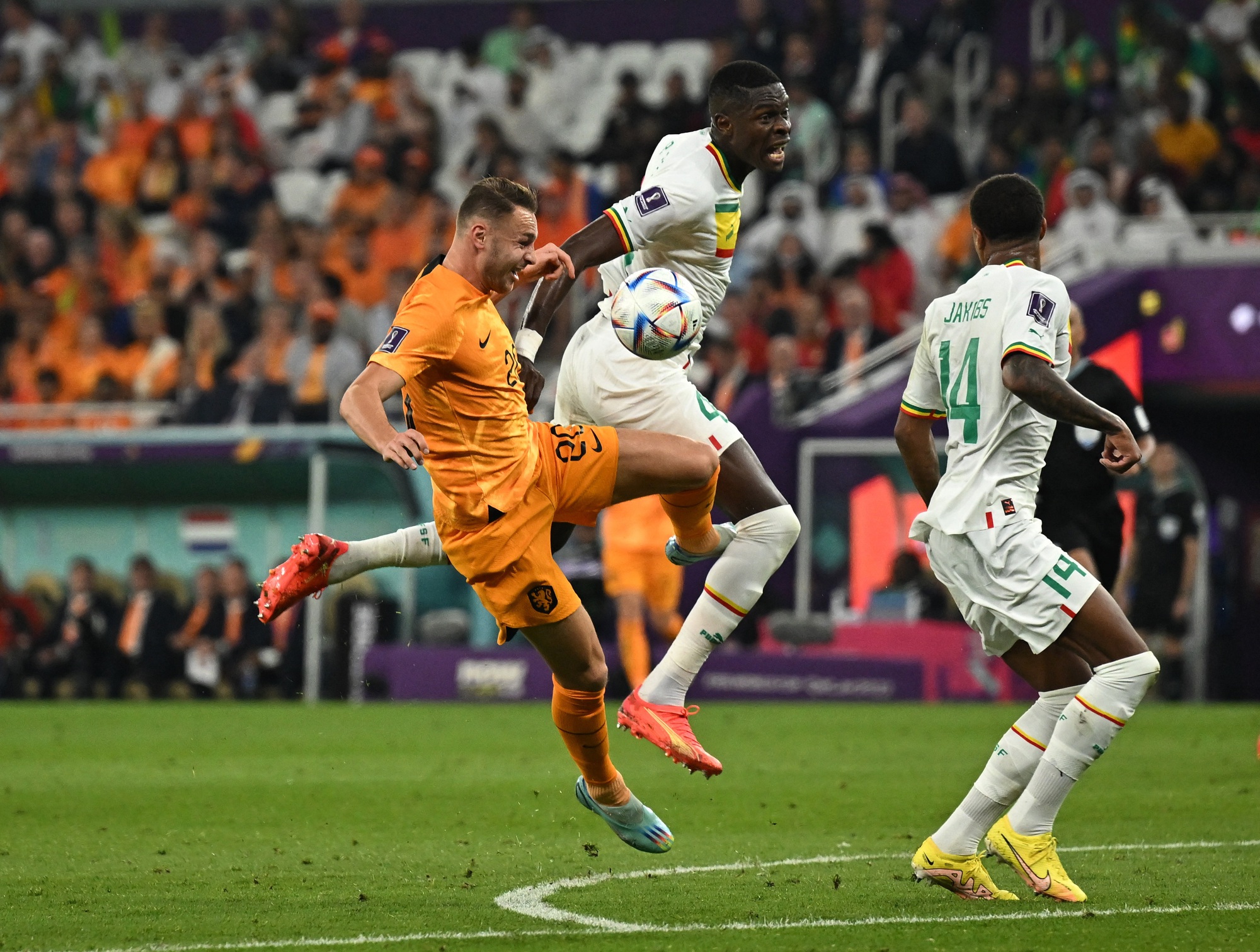 Lốc da cam Hà Lan bắt đầu tạo gió ở World Cup 2022 - Ảnh 1.
