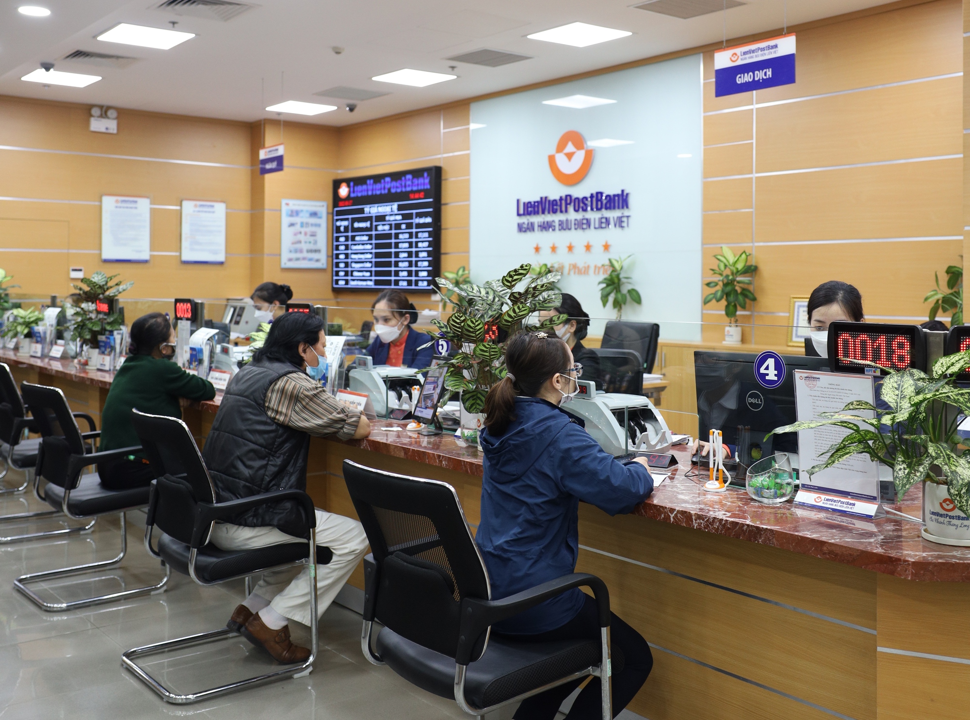 Giải &ldquo;nỗi oan&rdquo; tr&aacute;i phiếu - Ảnh 1.