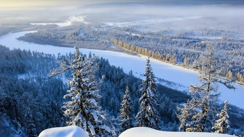 “Thây ma” Siberia hồi sinh sau 50.000 năm đóng băng: Cảnh báo rùng mình