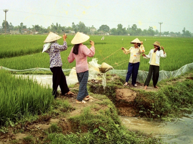 TIẾNG VIỆT GIÀU ĐẸP: Tát hay té?