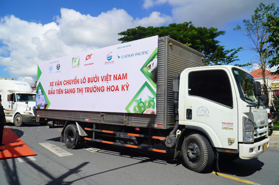 Cơ hội lớn cho bưởi da xanh