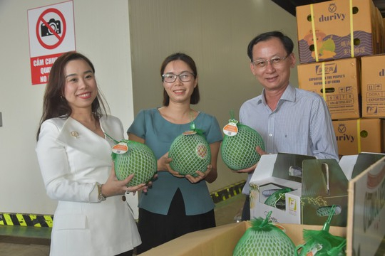 Bến Tre xuất khẩu lô bưởi da xanh đầu tiên sang Hoa Kỳ