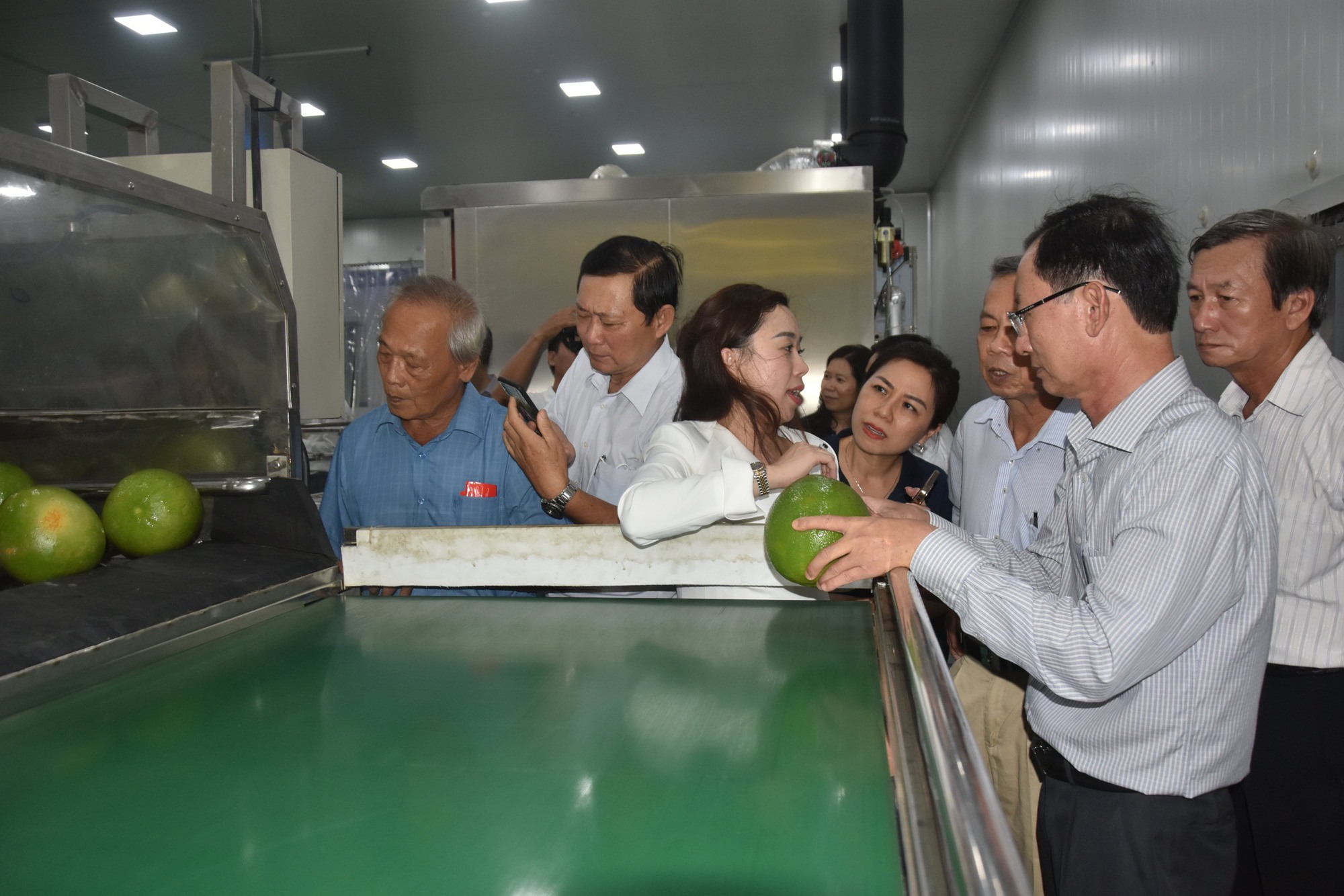 Bến Tre xuất khẩu l&ocirc; bưởi da xanh đầu ti&ecirc;n sang Hoa Kỳ - Ảnh 10.