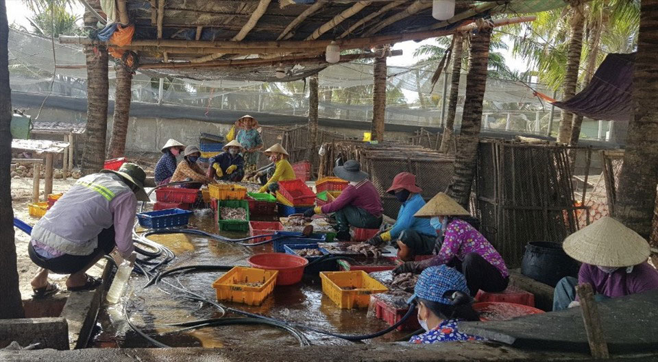 Công khai bức hại môi trường