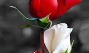 Vợ chồng có tuổi: Ngủ riêng, ngủ chung - Ảnh 1.