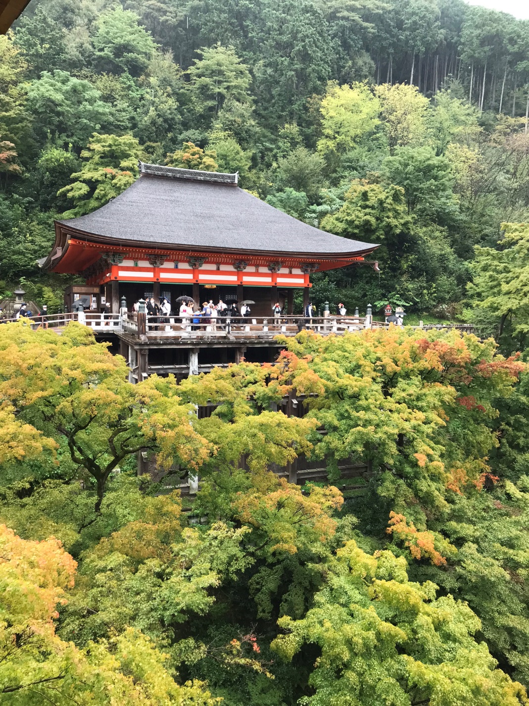 M&ugrave;a thu với m&oacute;n lẩu Sumo ở cố đ&ocirc; Kyoto - Ảnh 1.