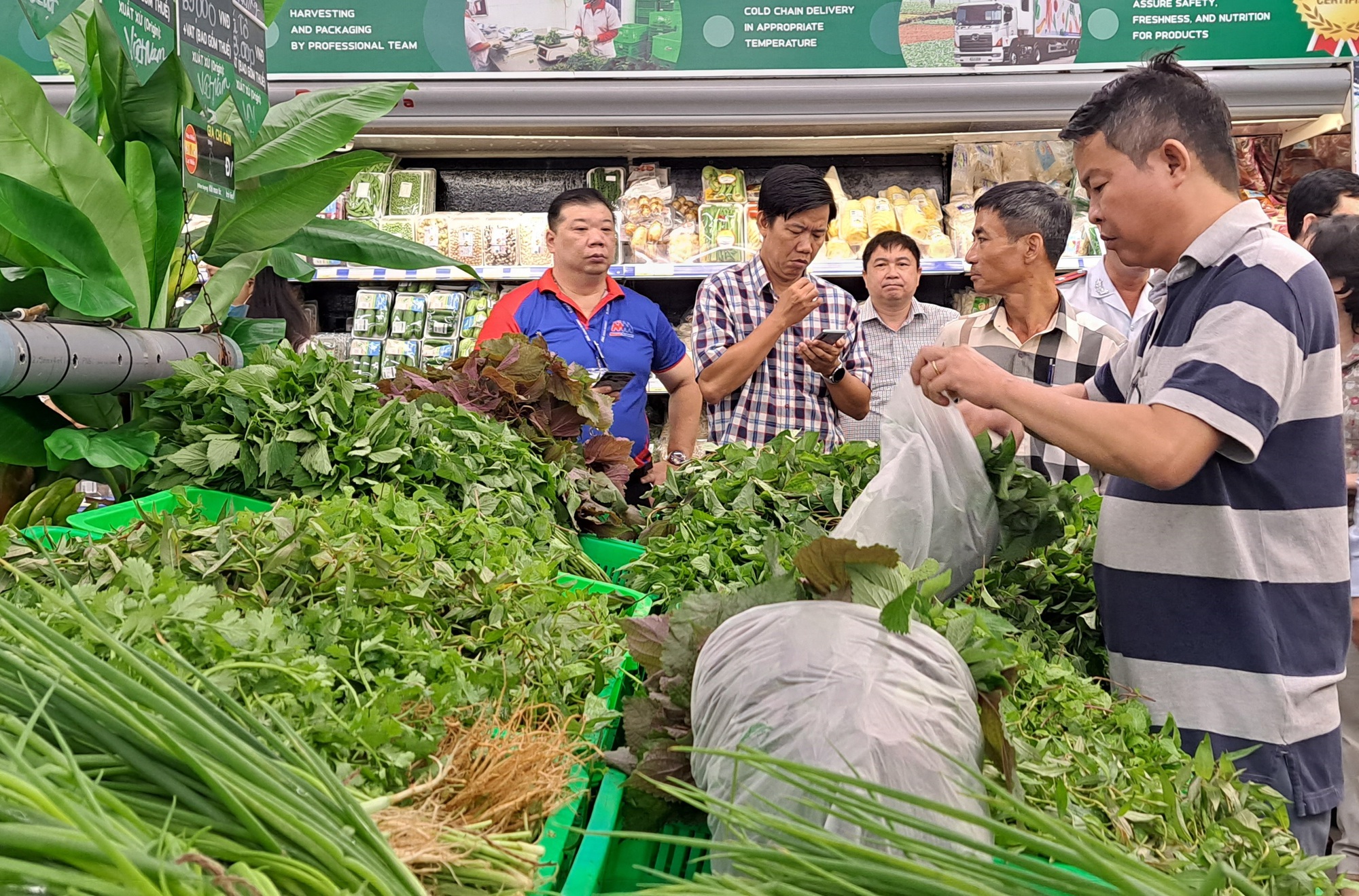 Vì sao rau trồng ở TP HCM chưa chen chân được vào siêu thị?