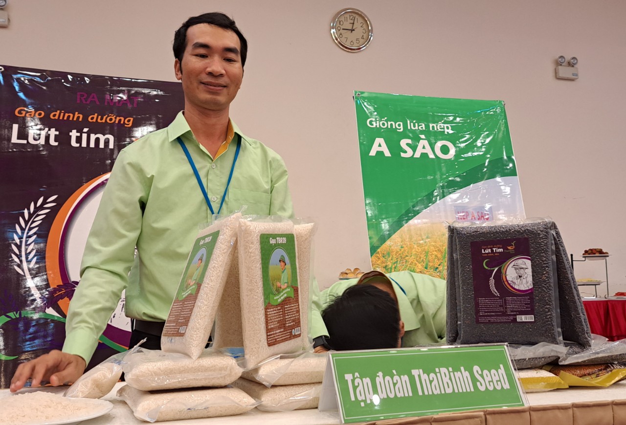 Gạo ST25 bị soán ngôi gạo ngon Việt Nam - Ảnh 1.