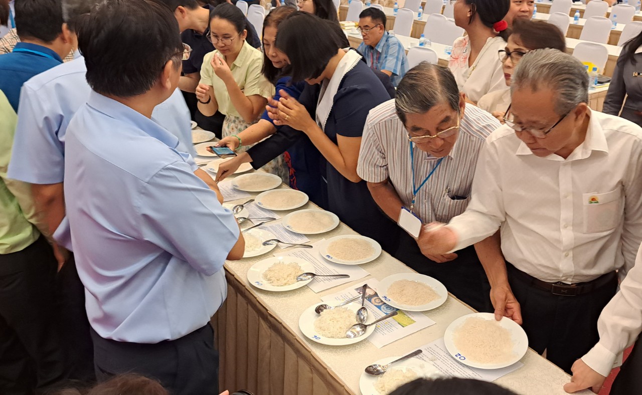 Gạo ST25 bị soán ngôi "gạo ngon Việt Nam"