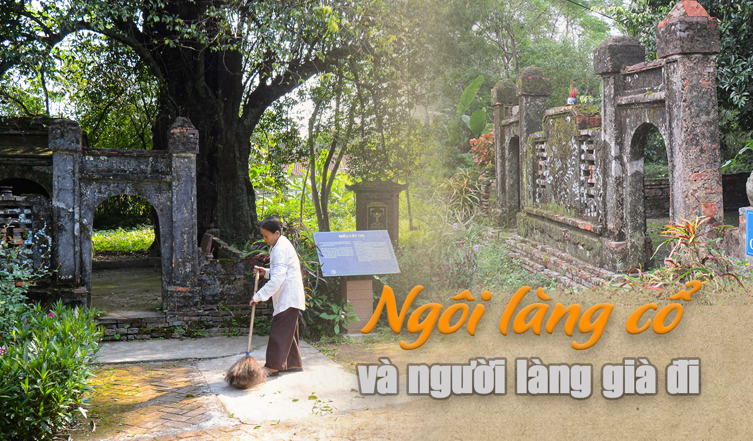 Chuyện cuốn hút trong ngôi làng cổ: Miếu Cây Thị thờ ai?