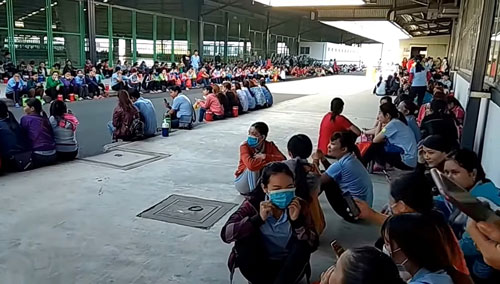 Công ty TNHH An Giang Samho lý giải việc cắt giảm lao động