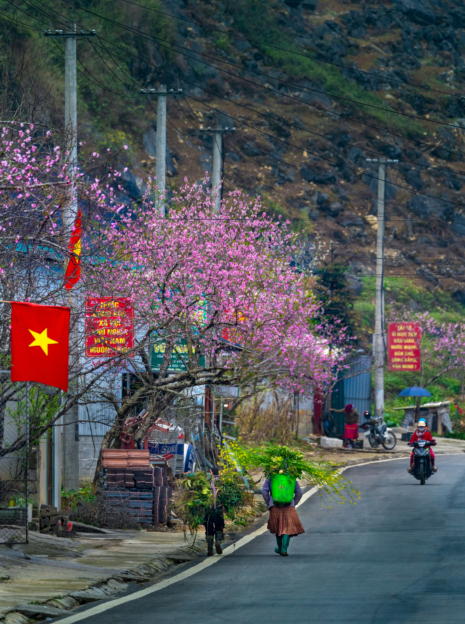CUỘC THI ẢNH “THIÊNG LIÊNG CỜ TỔ QUỐC”: Đất nước tươi đẹp - Ảnh 4.