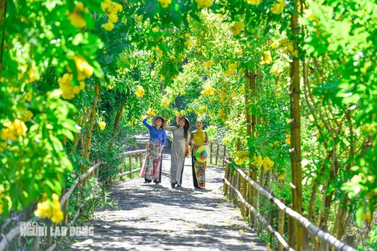 Ngất ngây với con đường hoa vàng rực ở Lam Kinh