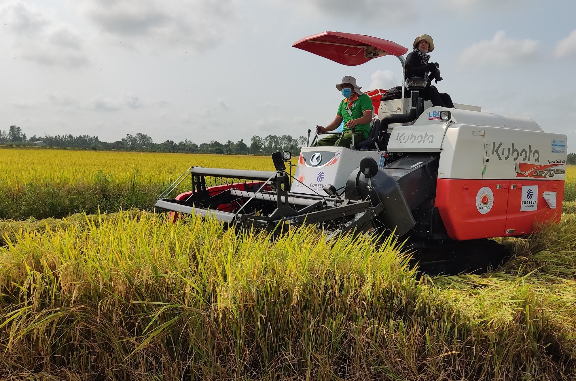 Nông nghiệp là trụ đỡ (*): Xuất khẩu gạo tự tin vượt Thái Lan