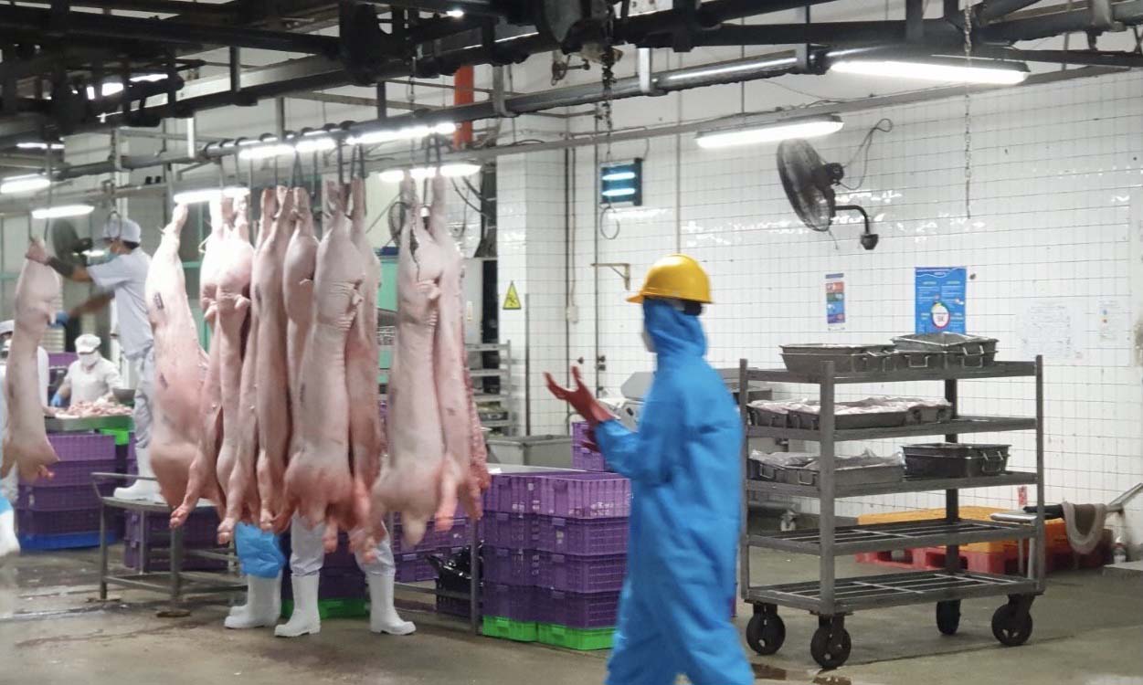 CHƯƠNG TRÌNH BÌNH ỔN THỊ TRƯỜNG TP HCM: Đồng hành giữ ổn định giá hàng hóa