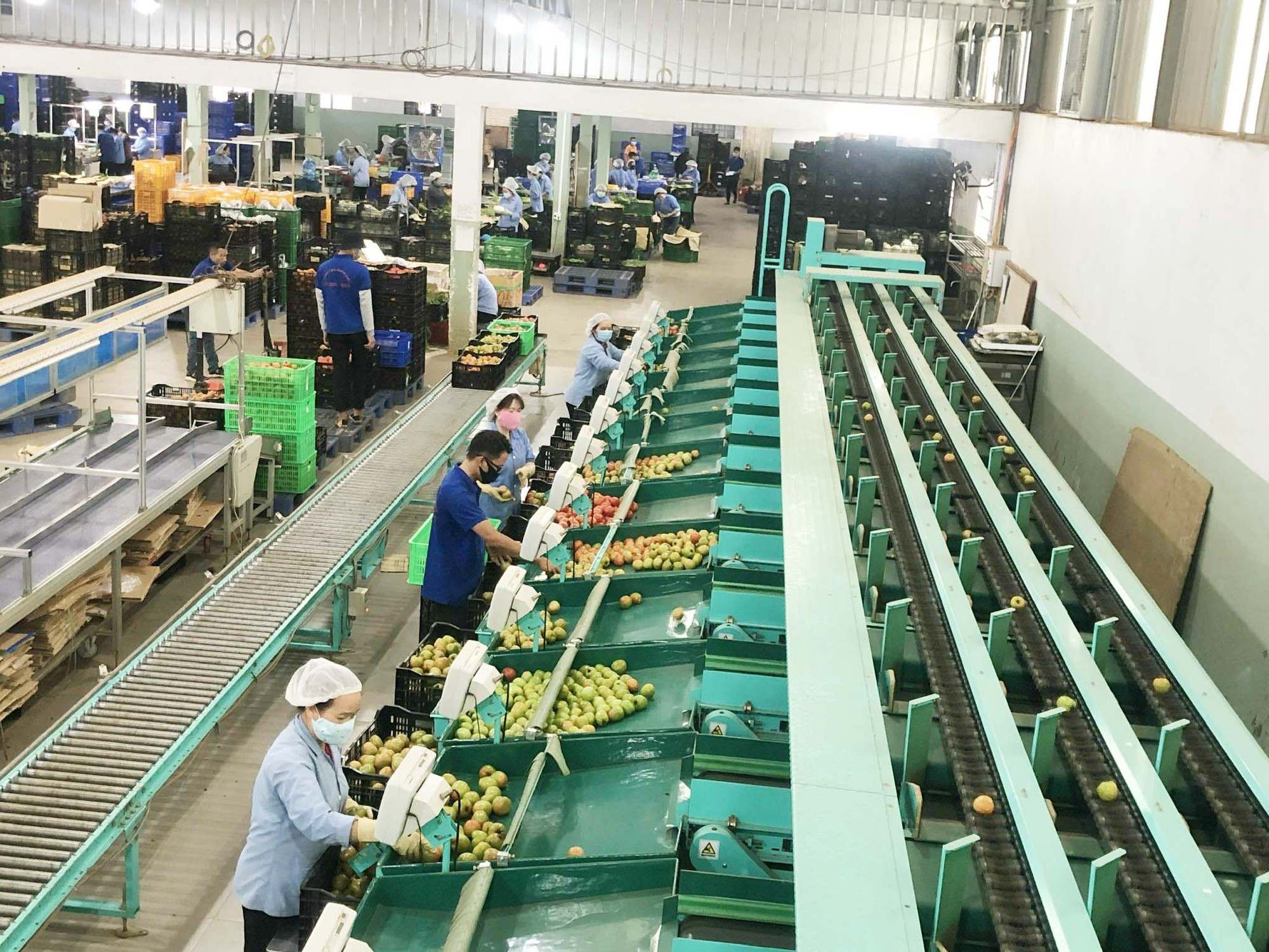 CHƯƠNG TRÌNH BÌNH ỔN THỊ TRƯỜNG TP HCM: Đồng hành giữ ổn định giá hàng hóa - Ảnh 2.