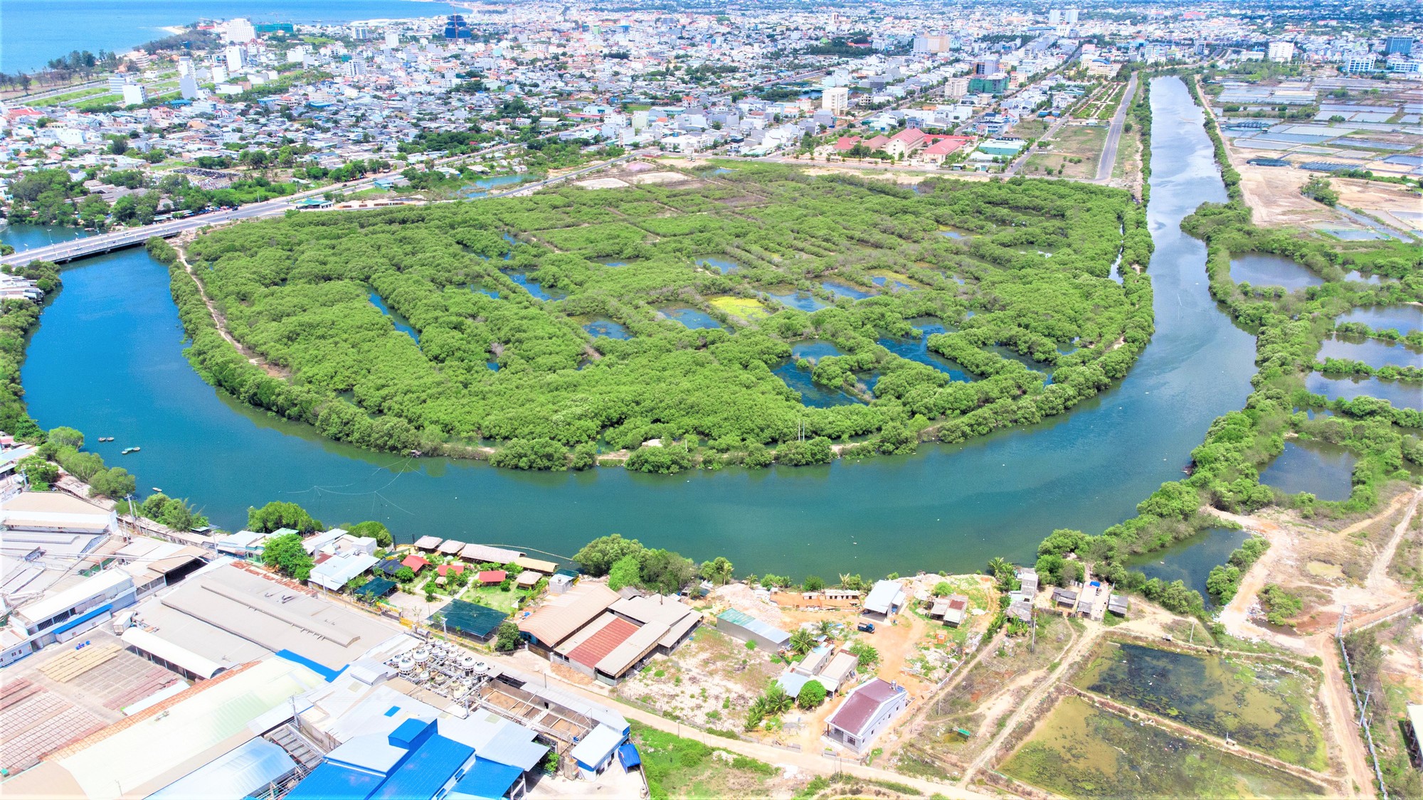 Công viên rừng ngập mặn giữa thành phố