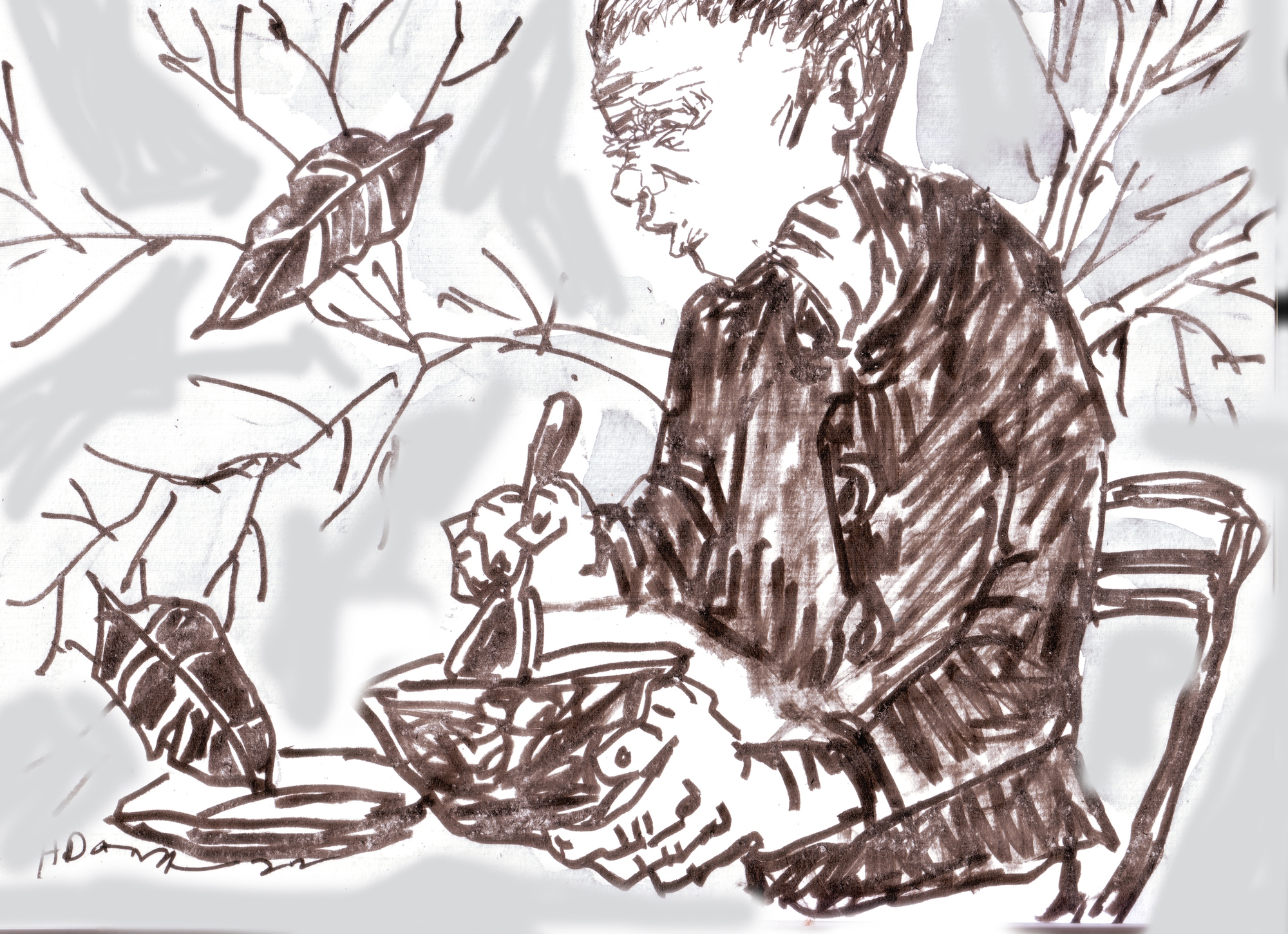 Người già đơn côi