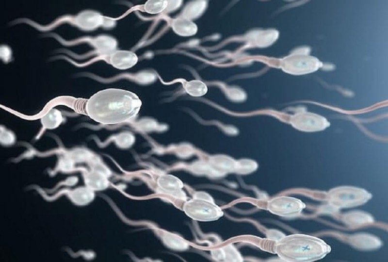 Suy giảm tinh trùng do sai lầm khi bổ sung testosterone