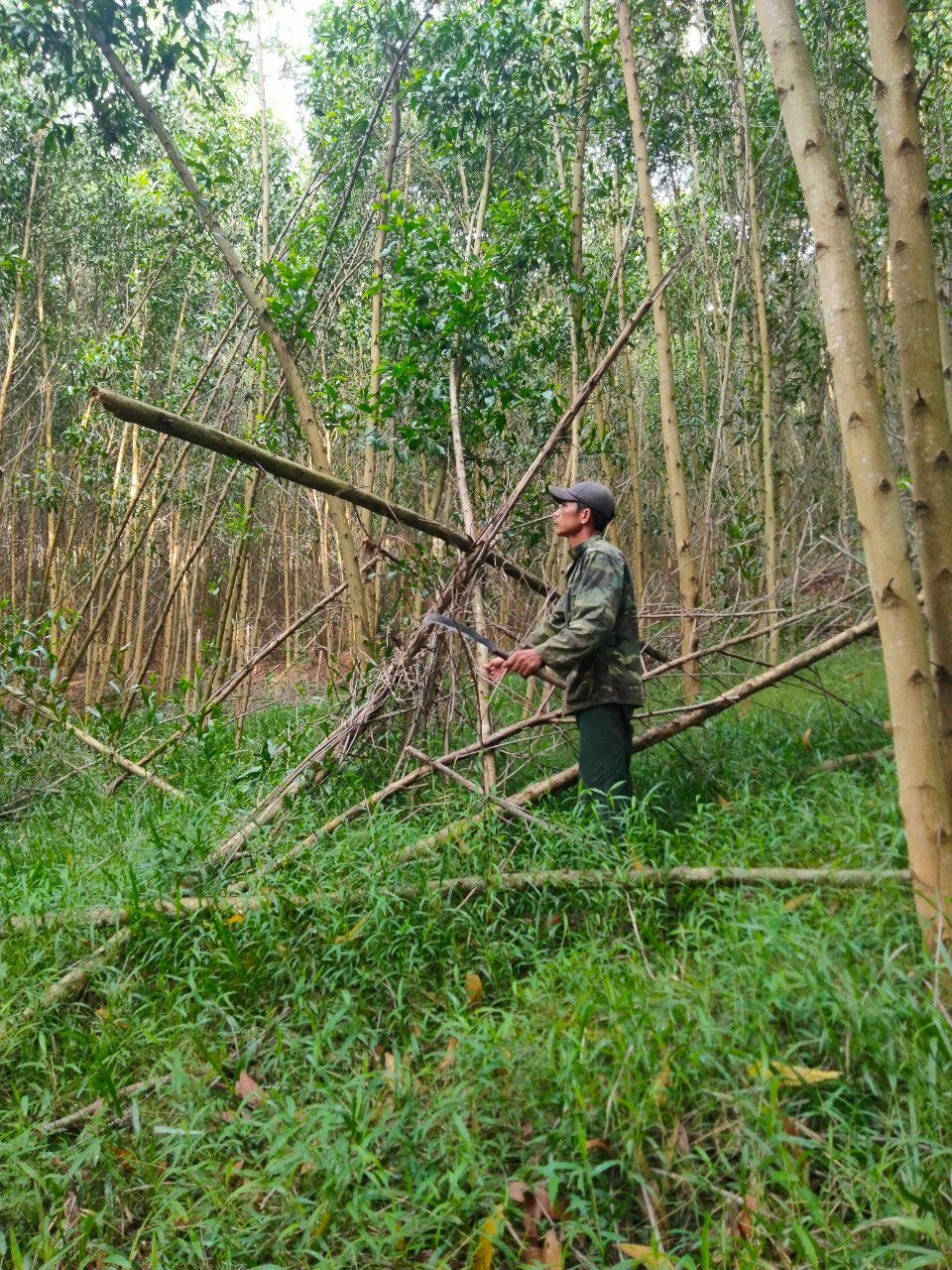 Nóng ruột chờ đền bù do hồ thủy lợi gây ngập