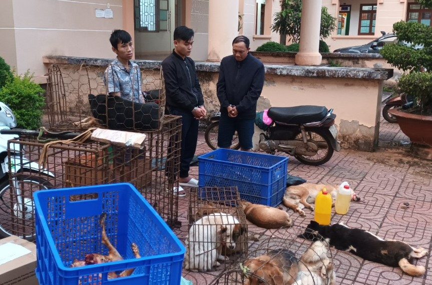 Bắt giữ nhóm trộm hơn 3 tấn chó