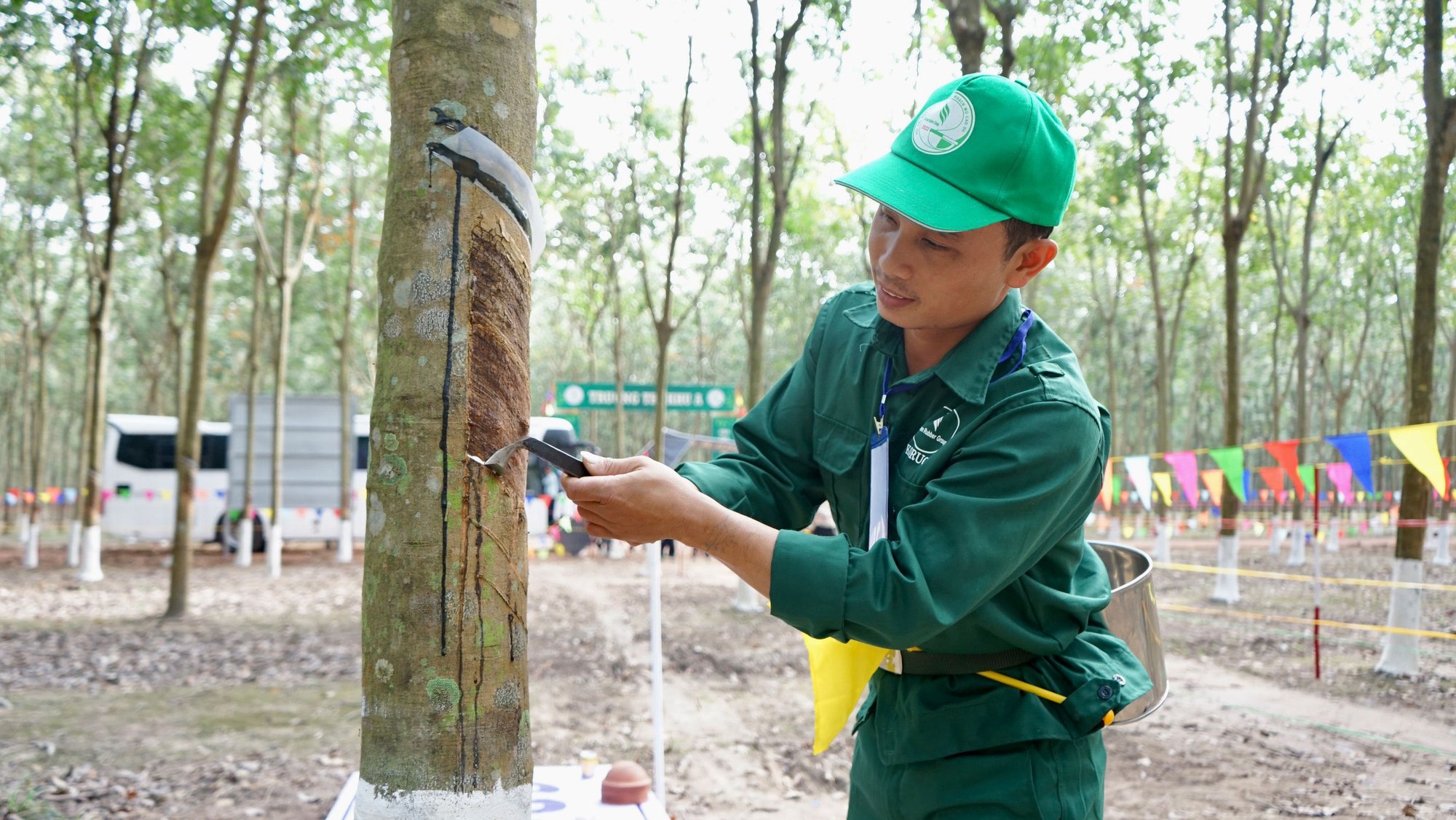 Nâng cao tay nghề cho công nhân cao su