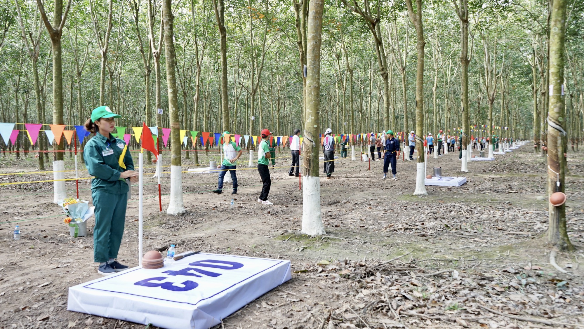 Khai mạc Hội thi B&agrave;n tay v&agrave;ng thu hoạch mủ cao su  - Ảnh 3.