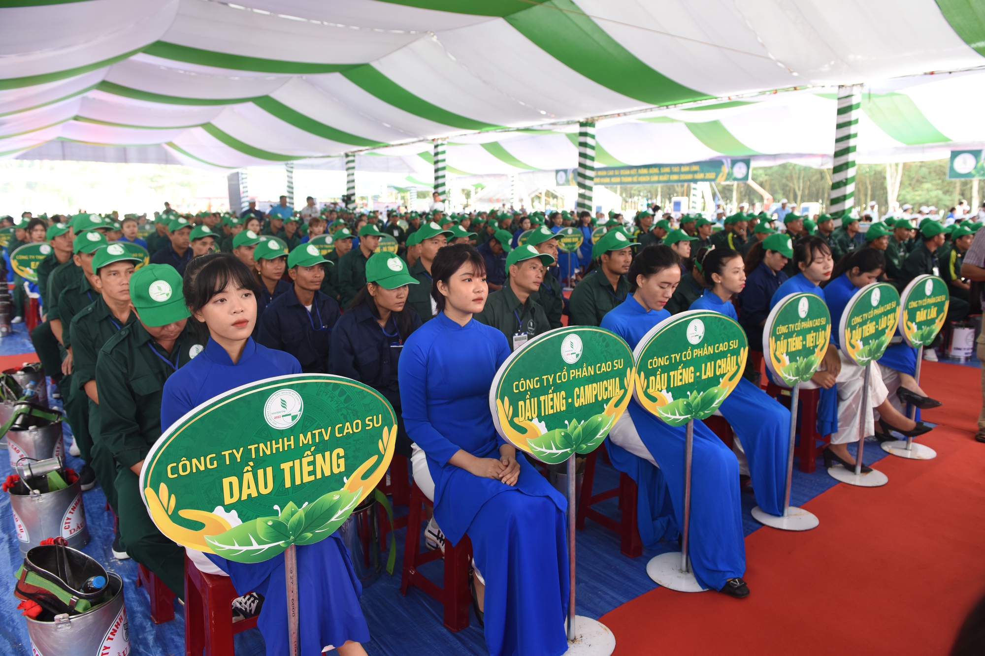 Khai mạc Hội thi B&agrave;n tay v&agrave;ng thu hoạch mủ cao su  - Ảnh 1.