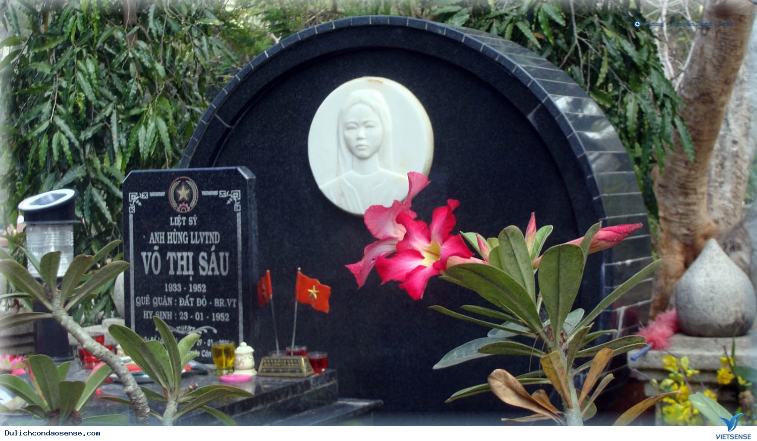 Kinh nghiệm du lịch Côn Đảo - Ảnh 13.