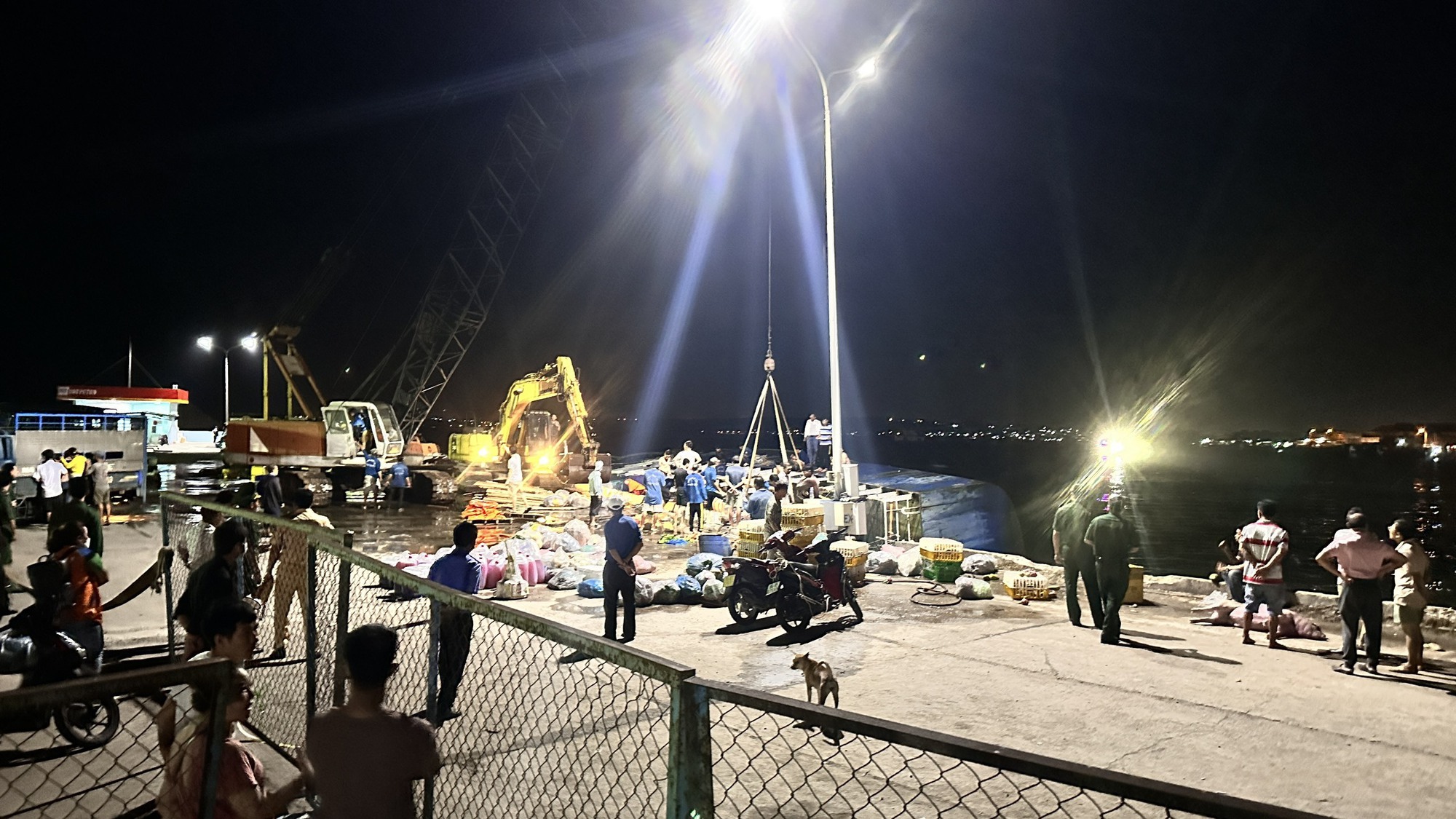 Lật t&agrave;u chở 70 tấn h&agrave;ng ở cảng Phan Thiết, heo sống bị ch&igrave;m dưới nước - Ảnh 2.