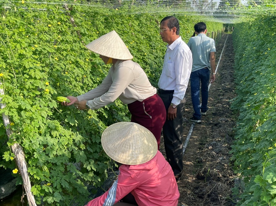 Quỹ hỗ trợ cộng đồng David Dương giúp thoát nghèo bền vững