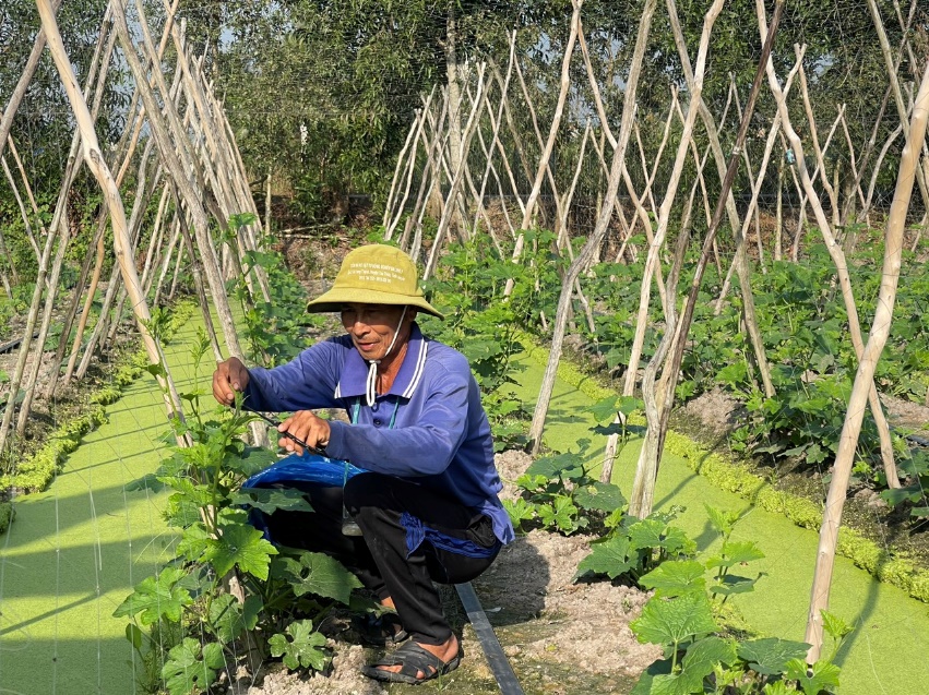 Quỹ hỗ trợ cộng đồng David Dương gi&uacute;p tho&aacute;t ngh&egrave;o bền vững - Ảnh 4.