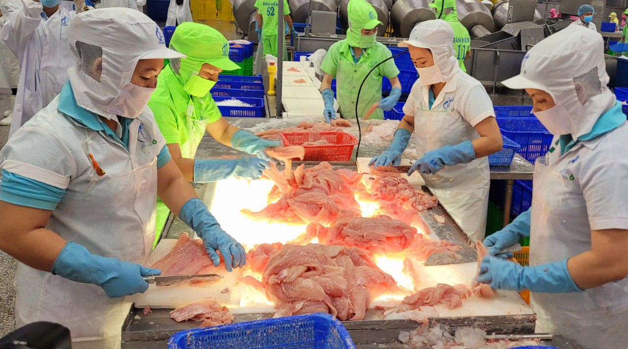 Phát triển bền vững ngành hàng cá tra - Ảnh 1.