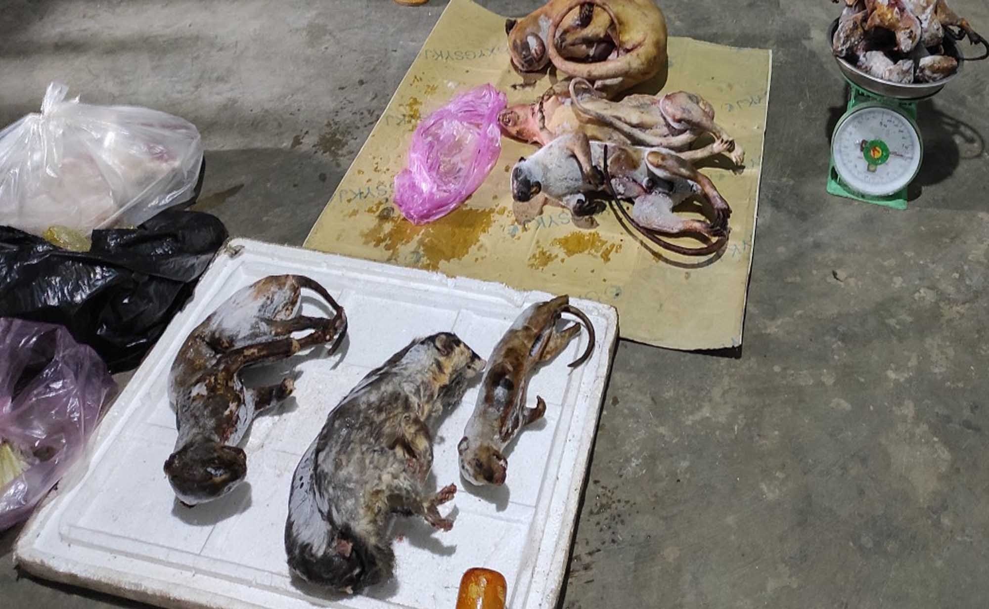 2 phụ nữ gom động vật hoang d&atilde; b&aacute;n cho kh&aacute;ch nhậu Tết - Ảnh 1.