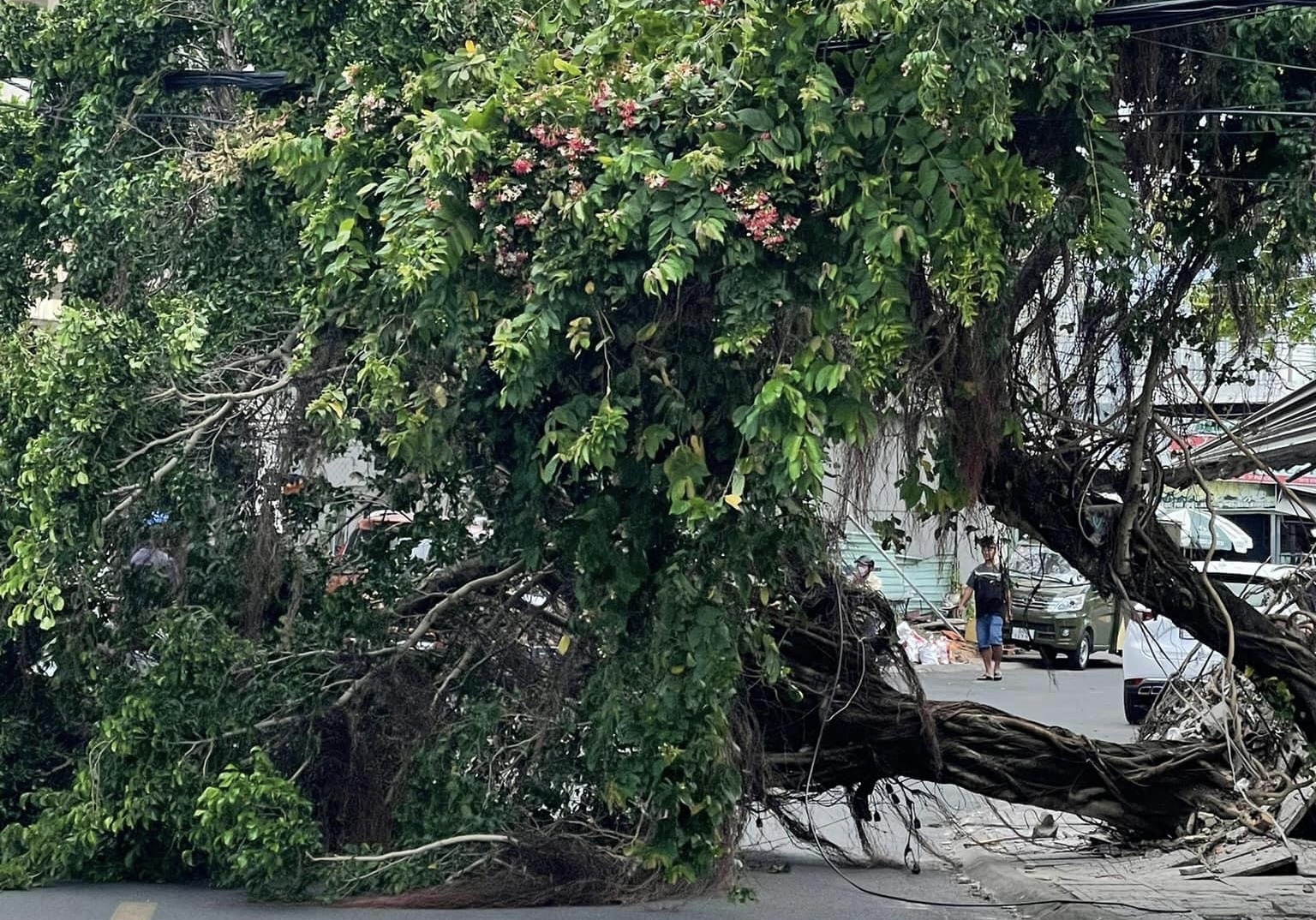 Phú Quốc: Tàu ngưng hoạt động, máy bay không hạ cánh được vì gió mạnh bất thường - Ảnh 4.